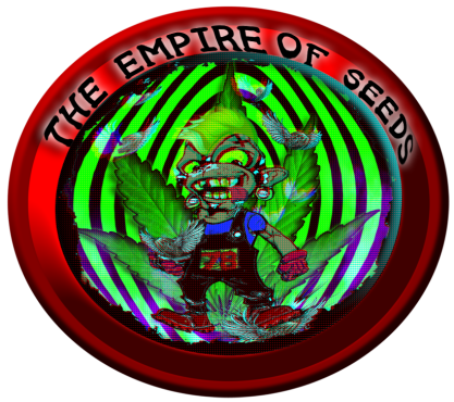 Händler & CSC Preise