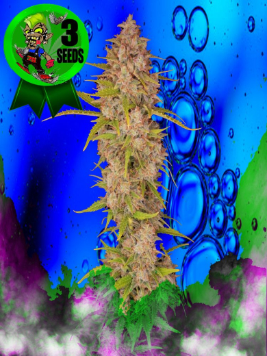 Cosmic Cookie Crunch#4 Cosmic Cookie Crunch#4