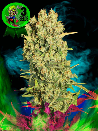 Kooky Mangomaster XXX Kooky Mangomaster XXX