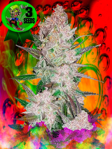 Sweet Devil`s Joyride Sweet Devil`s Joyride