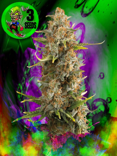 Funky Monkey Hustler XXL Funky Monkey Hustler XXL