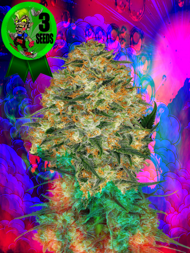 Diamond Freya F2 Diamond Freya F2