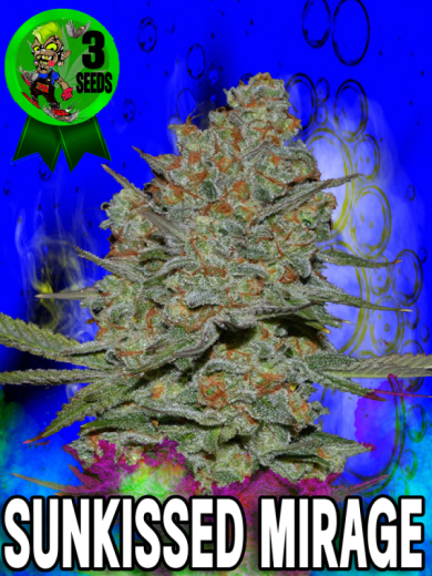 Sunkissed Mirage Sunkissed Mirage