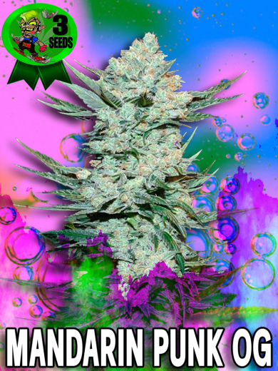 Mandarin Punk OG Mandarin Punk OG