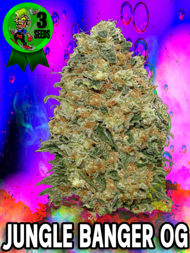 Jungle Banger OG Jungle Banger OG