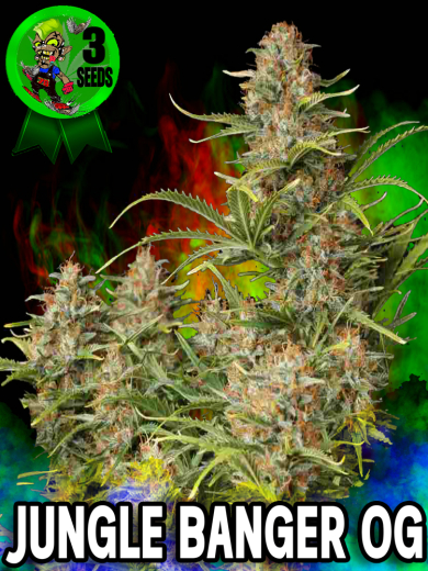 Jungle Banger OG