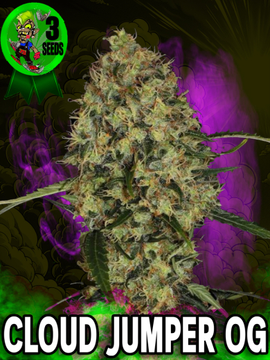 Cloud Jumper OG Cloud Jumper OG