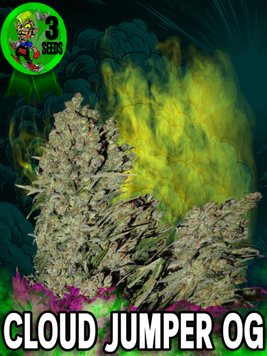 Cloud Jumper OG