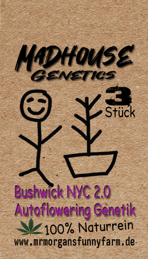 Buschwick NYC 2.0 Automatic