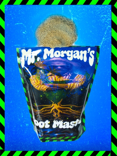 Mr. Morgan's ROOT MASTER