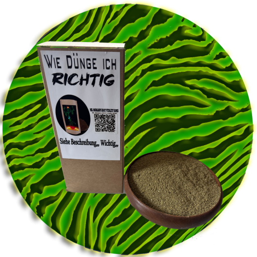 Mr. Morgan's ROOT Vitality BOMB