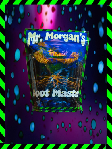 Mr. Morgan's ROOT MASTER