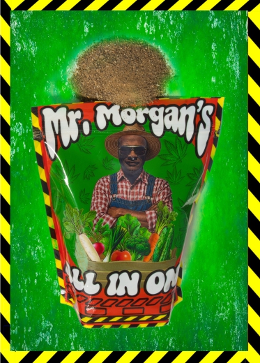 MR.MORGAN'S ALL IN ONE