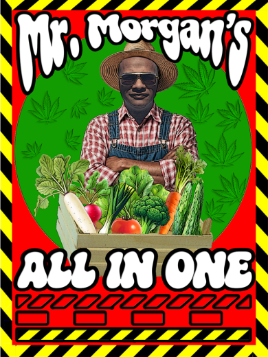 MR.MORGAN'S ALL IN ONE