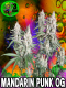 Mandarin Punk OG