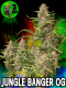 Jungle Banger OG