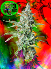 Resinous Star Fucker OG Automatic