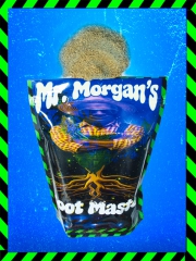 Mr. Morgan's ROOT MASTER