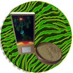 Mr. Morgan's ROOT Vitality BOMB