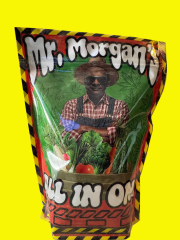MR.MORGAN'S ALL IN ONE