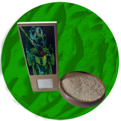 Mr.Morgan's Magic Earth Powder